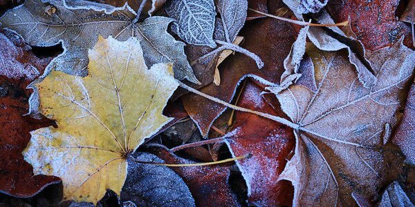 Ночные температуры в Приморье становятся минусовыми