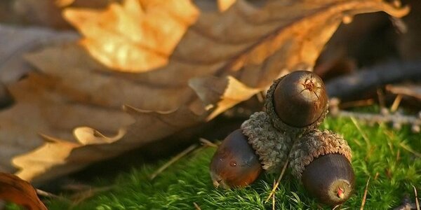 Потепление продолжится в Приморье 