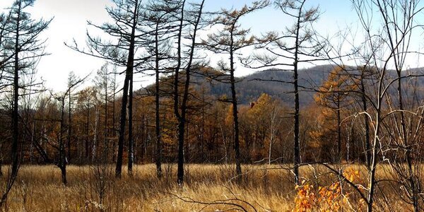 Большой дефицит осадков наблюдался в третьей декаде октября