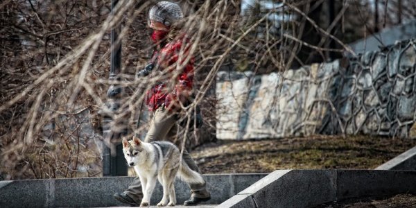 Ясная и прохладная погода в ближайшие дни сохранится в Приморье
