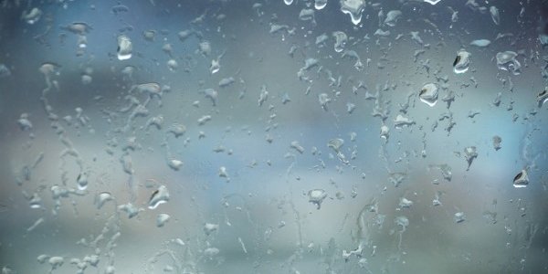 Завтра в Приморье вернутся дожди