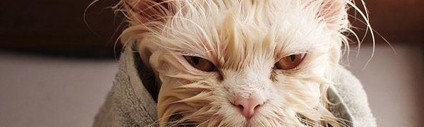 Часть жителей Советского района останется без горячей воды до конца лета