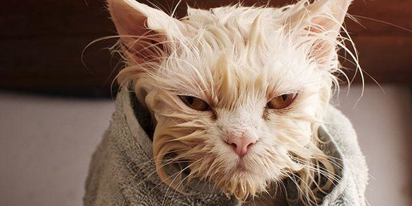 Часть жителей Советского района останется без горячей воды до конца лета