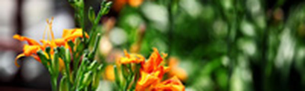 В ближайшие дни улучшения погоды можно не ждать