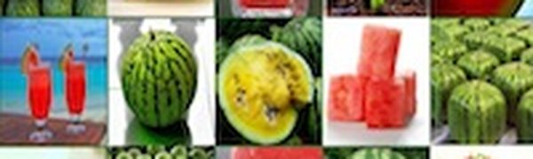 Спелость арбуза можно измерить при помощи iPhone