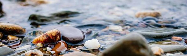 Дожди могут сформировать локальные паводки на реках Приморья