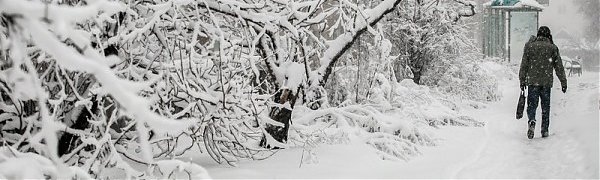 Снежный циклон приближается к Приморью