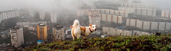 Погода в Приморье на неделю: местами до +23 °C и прохлада на побережье