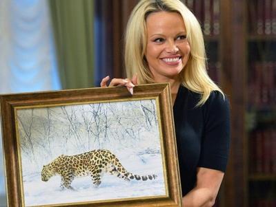Памела Андерсон стала крестной приморского леопарда
