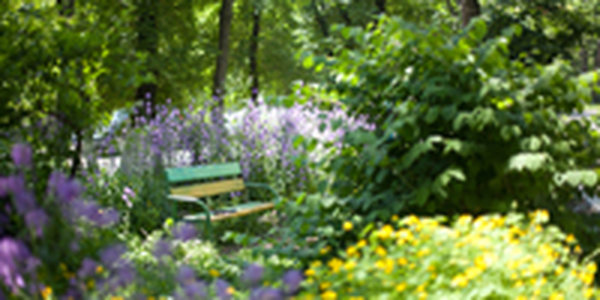 В Приморье сохранится неустойчивый характер погоды