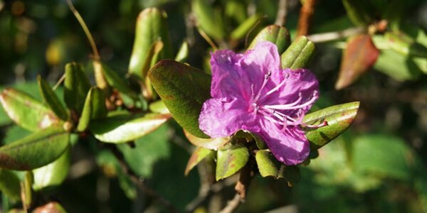 В среду осадков в Приморье не предвидится