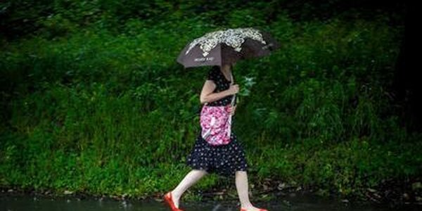 Приморье в зоне фронта: в крае идут интенсивные дожди