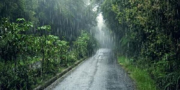 Прогноз погоды в Приморье на 16 — 17 августа 