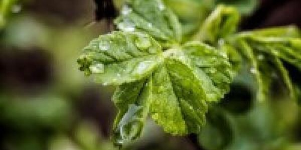 В ночь на среду во Владивостоке разыграется стихия