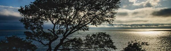 Тайфун «Митаг» принесёт сильный ветер на побережье Приморья