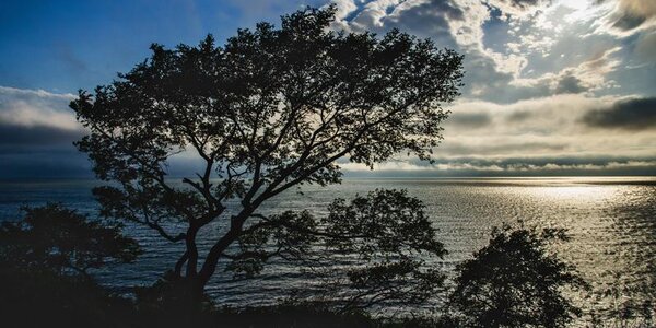 Тайфун «Митаг» принесёт сильный ветер на побережье Приморья