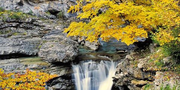 На реках Приморья наблюдается период осенней межени