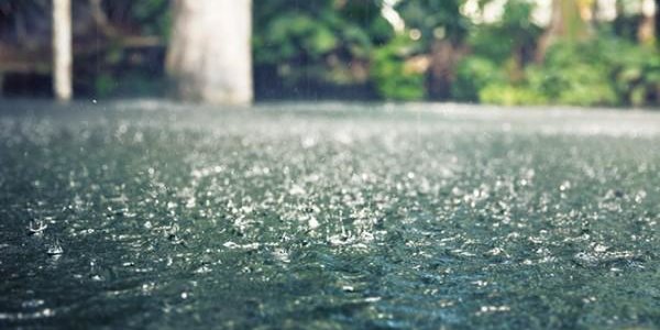 Муссонные дожди сокращаются из-за деятельности человека