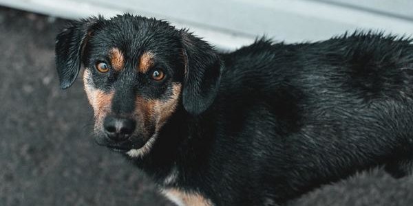 В конце недели в Приморье ожидается значительное ухудшение погоды