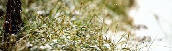 Циклон испортит погоду в Приморье в конце рабочей недели