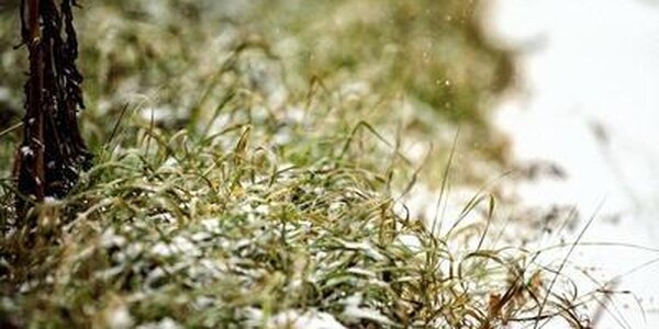 Циклон испортит погоду в Приморье в конце рабочей недели