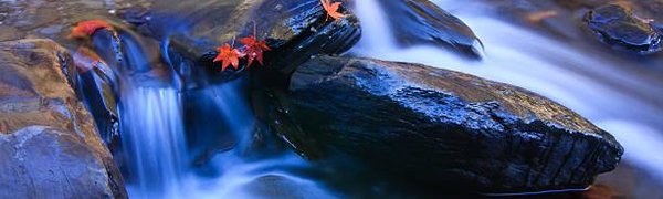 Температура воды в реках Приморья опустилась до 3–7 °С