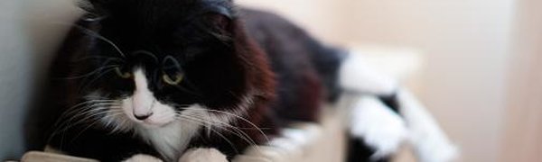 В 33 муниципалитетах Приморья начался отопительный сезон