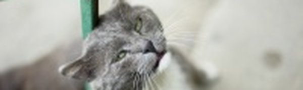 Весной самое время...