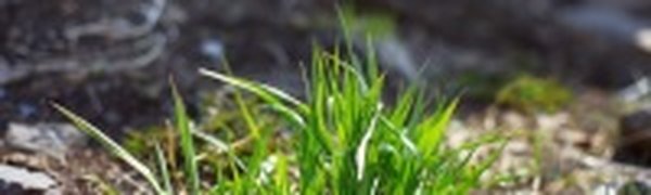 Завтра на смену солнечной погоде придут дожди