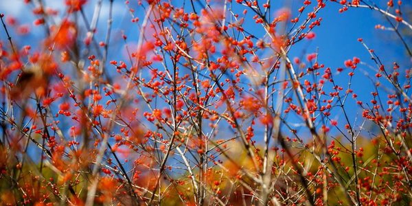 Погода на длинные выходные в Приморье: тепло продержится до понедельника