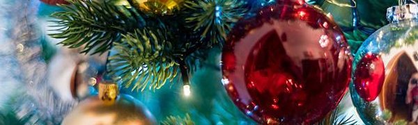 Новые новогодние ели украсят этой зимой Владивосток