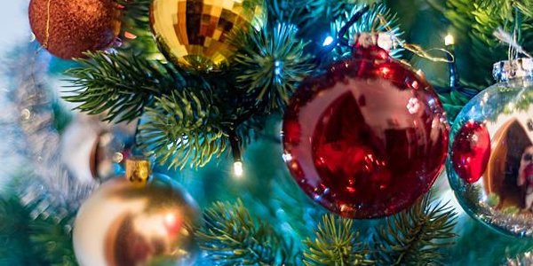 Новые новогодние ели украсят этой зимой Владивосток