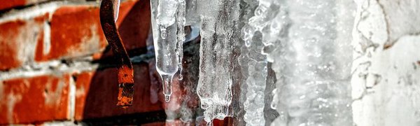 Завершившаяся зима в России вошла в число самых тёплых