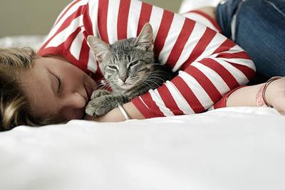 Кошки официально признаны «лечебными животными»