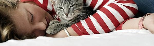 Кошки официально признаны «лечебными животными»