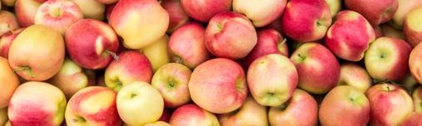 Яблоки помогают отсрочить старение