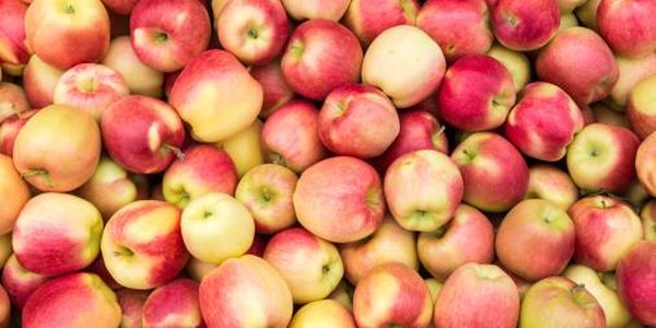 Яблоки помогают отсрочить старение