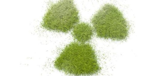 Радиационный фон в Приморье находится в пределах нормы