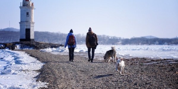 Приморье кратковременно накрыла волна тепла