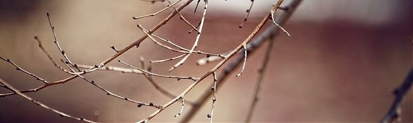 В Приморье поселилась весна