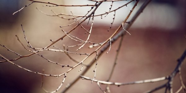 В Приморье поселилась весна