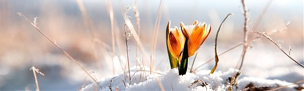 День весеннего равноденствия: наступает астрономическая весна