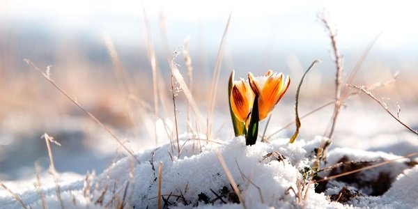 День весеннего равноденствия: наступает астрономическая весна