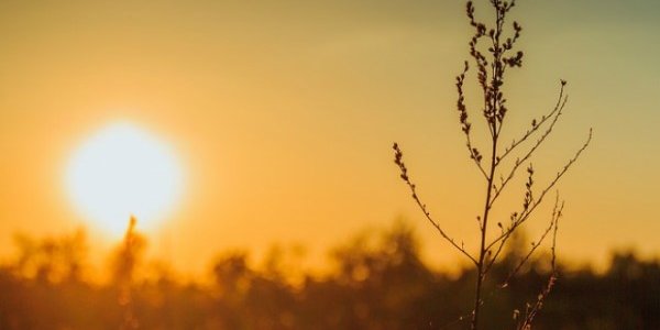 Минувший октябрь был самым теплым за всю историю метеонаблюдений