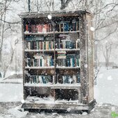 Мощный циклон принес во Владивосток снег, метель, гололедицу (ФОТО)