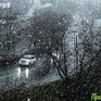 Завтра в Приморье пройдут смешанные осадки, местами сильные