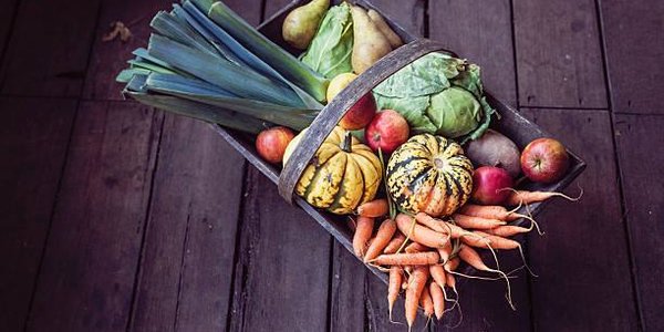 Ярмарка развернётся на центральной площади Владивостока 10 и 11 ноября