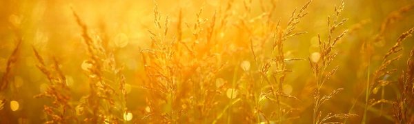 На этой неделе в Приморье воздух прогреется до +30°C и выше