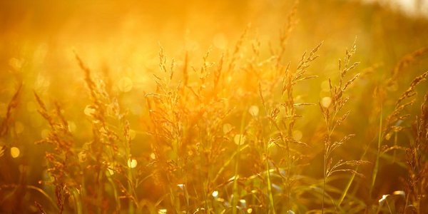 На этой неделе в Приморье воздух прогреется до +30°C и выше