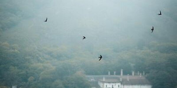 В среду местами в Приморье пройдут кратковременные дожди